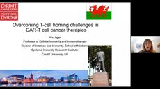 Overcoming T cell homing challenges in CAR-T cell cancer therapies
