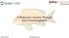 A molecule's journey through gas chromatography