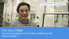 New organic chemistry laboratories highlight the importance of a safe research environment