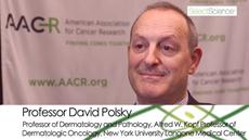 Professor David Polsky Shares Research on Identifying Cancer Biomarkers from Liquid Biopsies