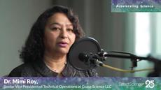 Strategic process and analytical development for AAV gene therapy
