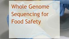 How to Use Whole Genome Sequencing for Food Safety